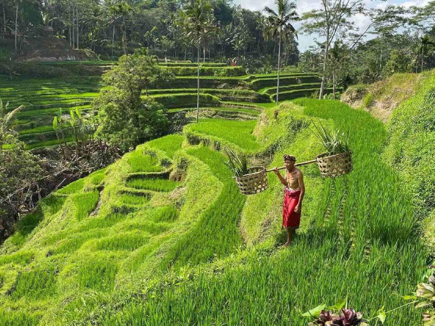 Bali: Ubud Waterfalls, Rice Terraces & Jungle Swing Tour - Ubud Swing Experience