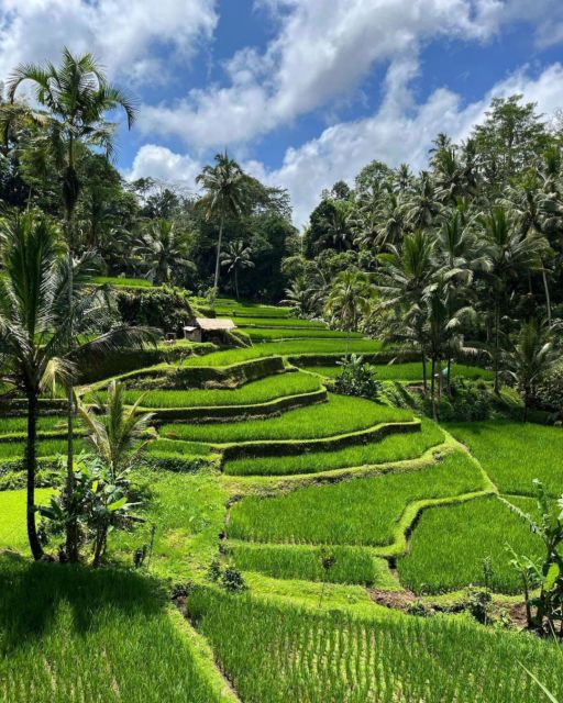 Bali: Ubud Waterfalls, Rice Terraces & Jungle Swing Tour - Frequently Asked Questions
