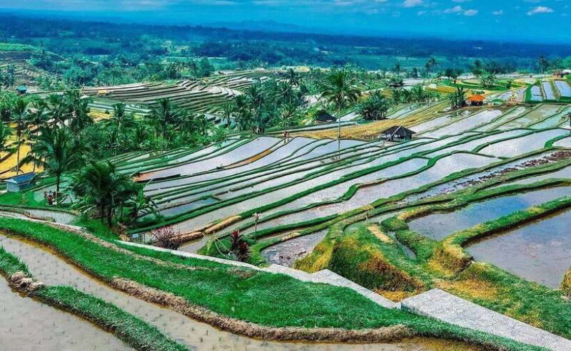 Bali : Ulun Danu Beratan Temple and UNESCO Rice Terrace Tour - Key Points