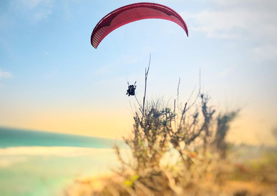 Bali: Uluwatu or Nusa Dua Beach Paragliding Experience - Scenic Views and Highlights