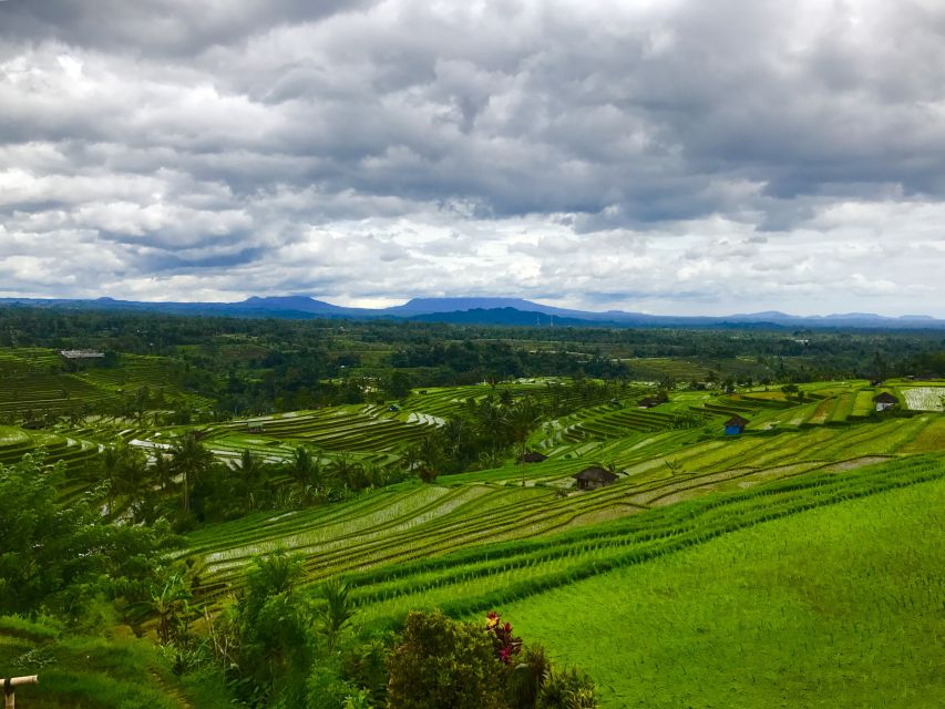 Bali UNESCO Sites: Private Guided Full-Day Tour - Inclusions