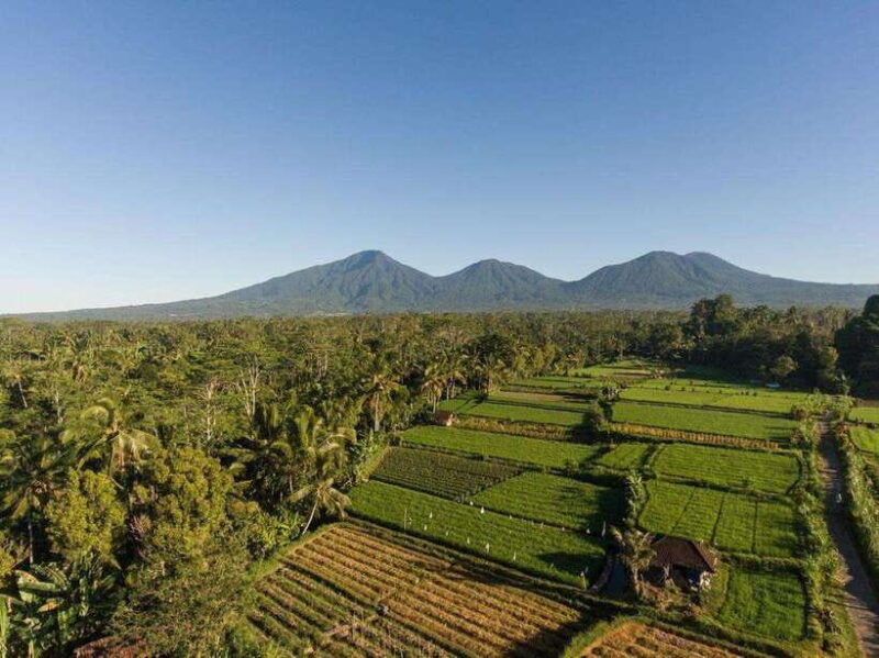 Bali: Village Cultural Tour with Cooking Class - Practical Tips for Participants