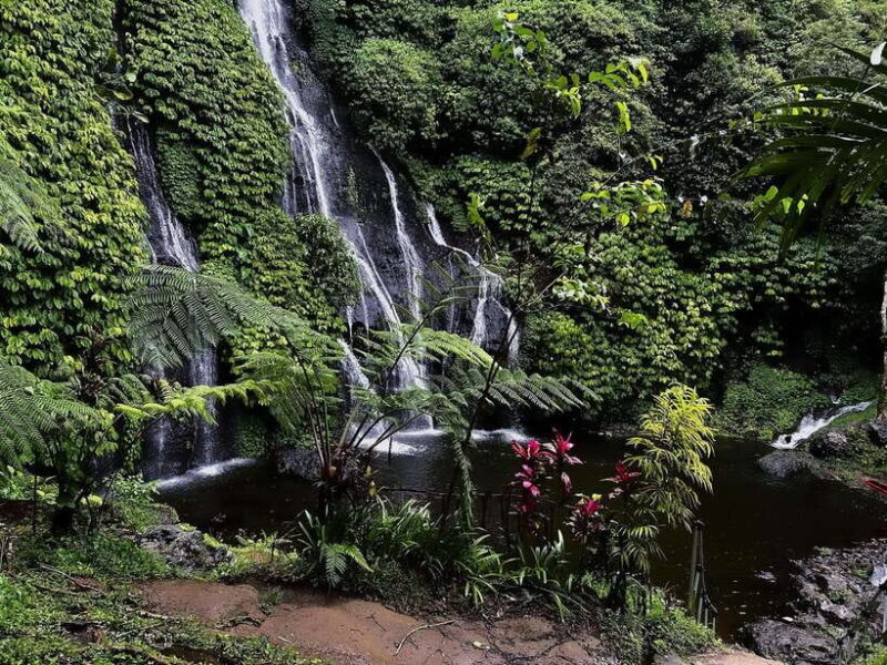 Bali: Wanagiri, Banyumala Twin Waterfall, Ulun Danu Bratan - Final Thoughts: Who Is This Tour Best For?