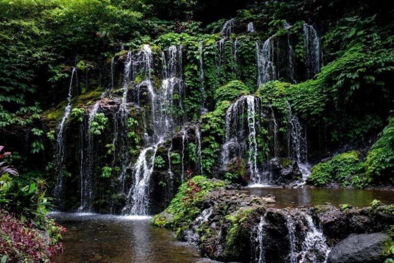 Bali: Wanagiri Hidden Hills, Waterfall, and Temples Tour - Key Points