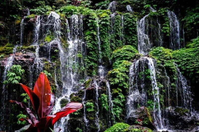 Bali: Wanagiri Hidden Hills, Waterfall, and Temples Tour - The Sum Up