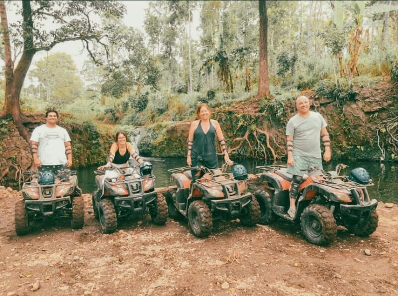 Bali: Wanagiri Quad Bike Explore And Waterfall Adventure - Quad Biking Experience
