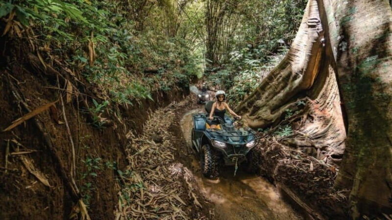Bali Waterfall Gorilla Cave ATV, Rafting and Monkey Forest - Practical Considerations