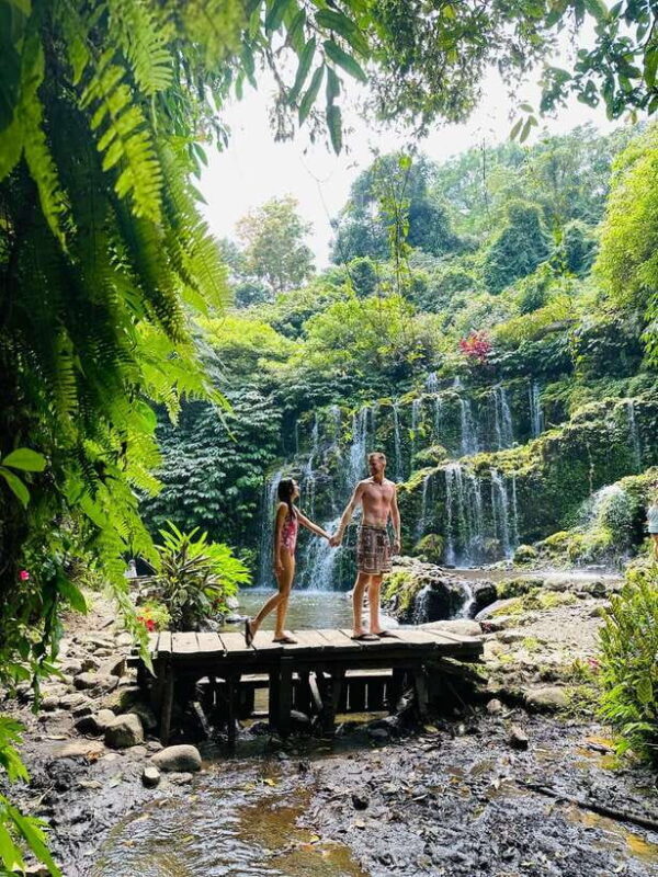 Bali: Waterfall in the forest & twin lake view tour - A Closer Look at the Tour