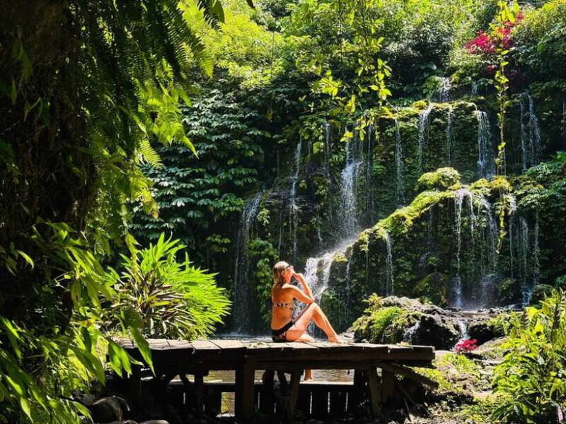 Bali: Waterfall in the forest & twin lake view tour - Who Will Love This Tour