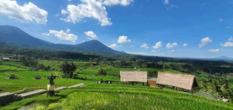 Bali: Waterfall, Rice Terraces, Temples and Sun-Set Day Tour - Final Thoughts