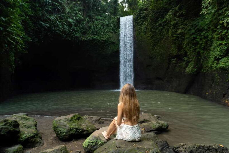 Bali : Waterfalls, Rice Terrace & Swing With Photographer - What to Expect from This Bali Waterfalls & Rice Terraces Tour