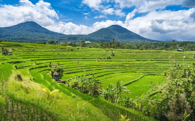 Bali: Waterfalls, Temples, and Rice Terraces Scenic Tour - What Past Travelers Say