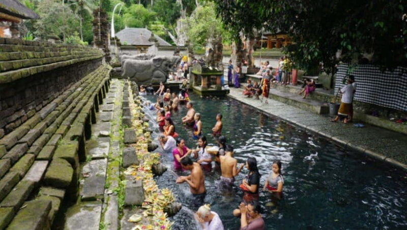 Bali: Waterfalls, Temples, and Rice Terraces Tour - The Value of This Tour