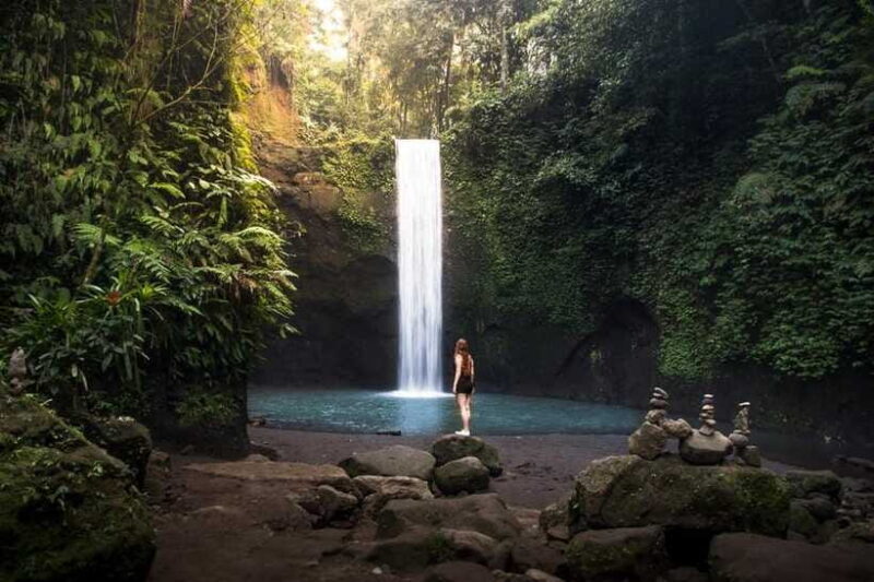 Bali: Waterfalls, Temples, and Rice Terraces Tour - Who Should Consider This Tour?