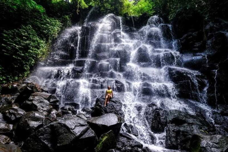 Bali: Waterfalls, Temples, and Rice Terraces Tour - Final Thoughts