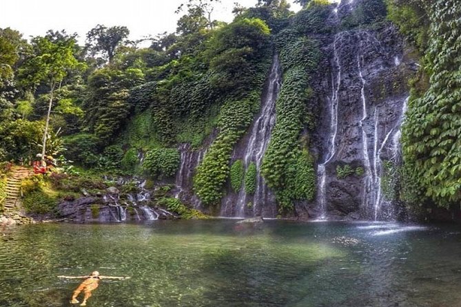 Bali Waterfalls Tour - One Day Private Tour - Inclusions and Amenities