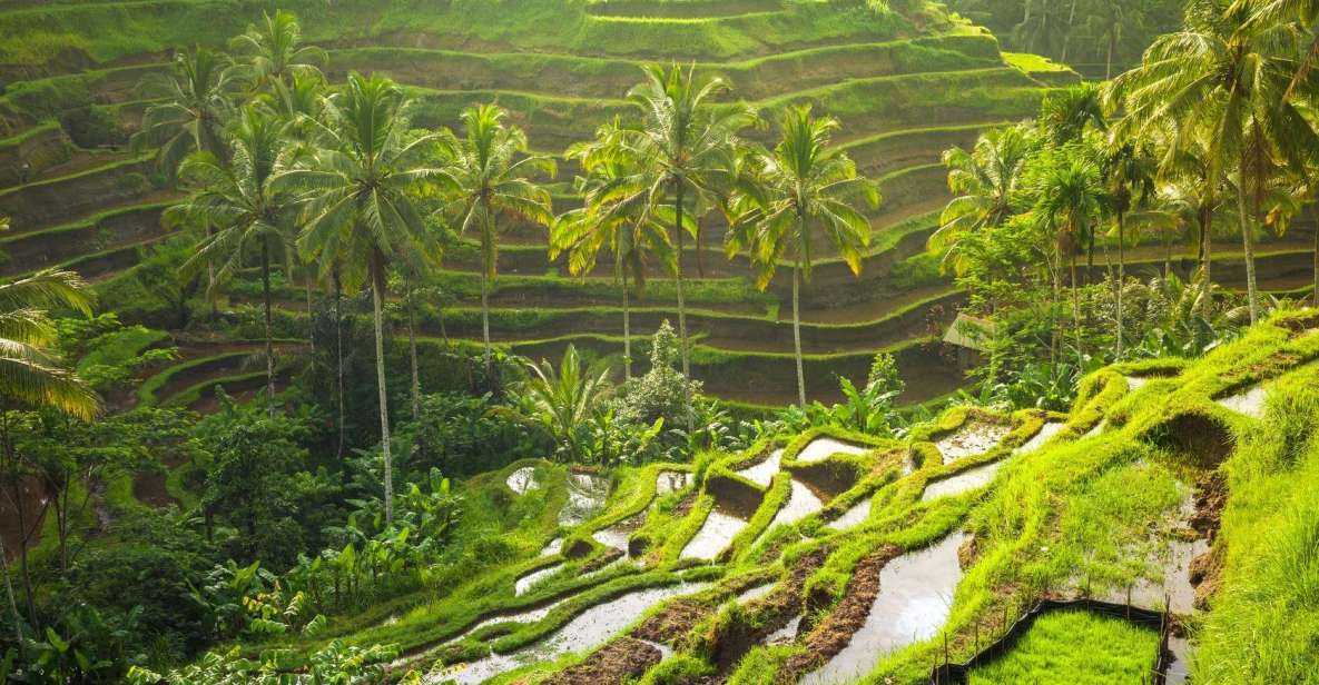 Bali: White Water Rafting Adventure and Ubud Tour - Tegalalang Rice Terraces