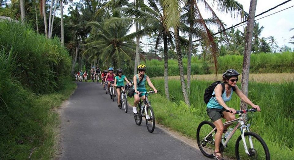Bali: White Water Rafting & Cycling Tour - All Inclusive - Adventurous Spirits
