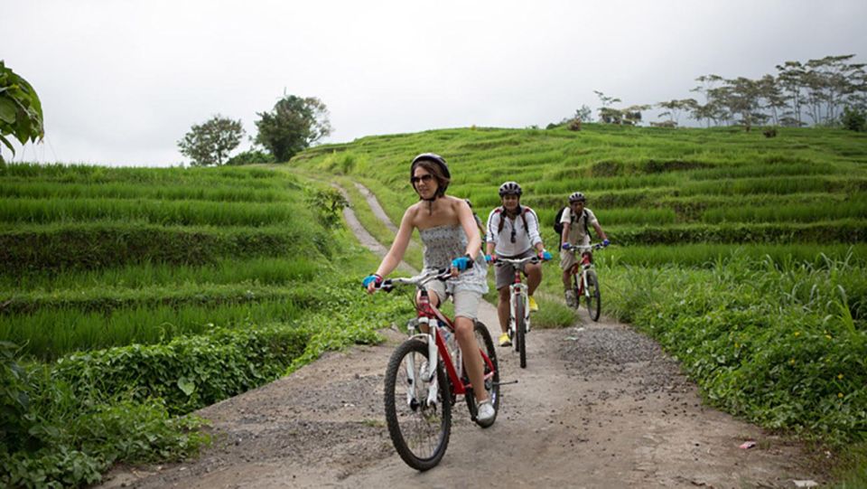 Bali: White Water Rafting & Cycling Tour - All Inclusive - Refuel and Recharge