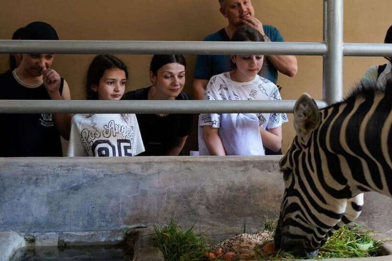 Bali Zoo: Behind Closed Doors Afternoon Safari Guided Tour - Final Thoughts: Is It Worth It?