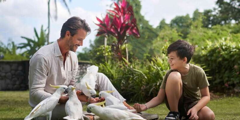 Bali Zoo: Breakfast with the Orangutans - Key Points