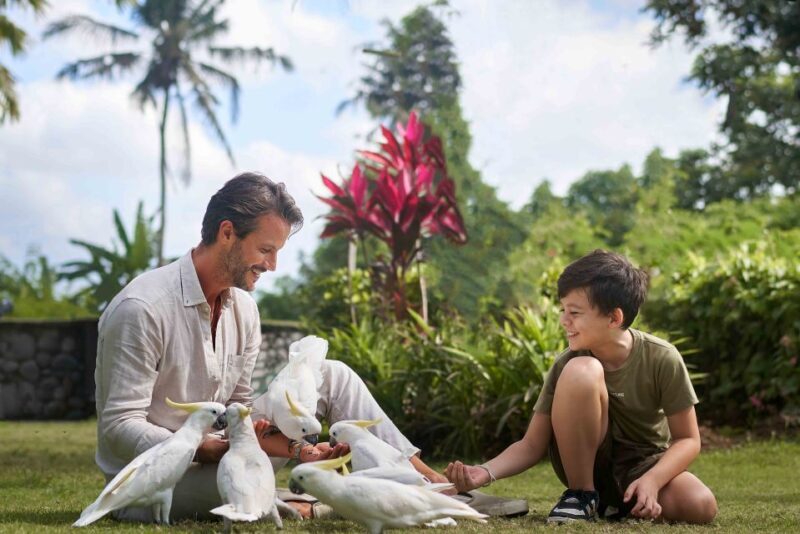 Bali Zoo: Breakfast with the Orangutans - FAQ