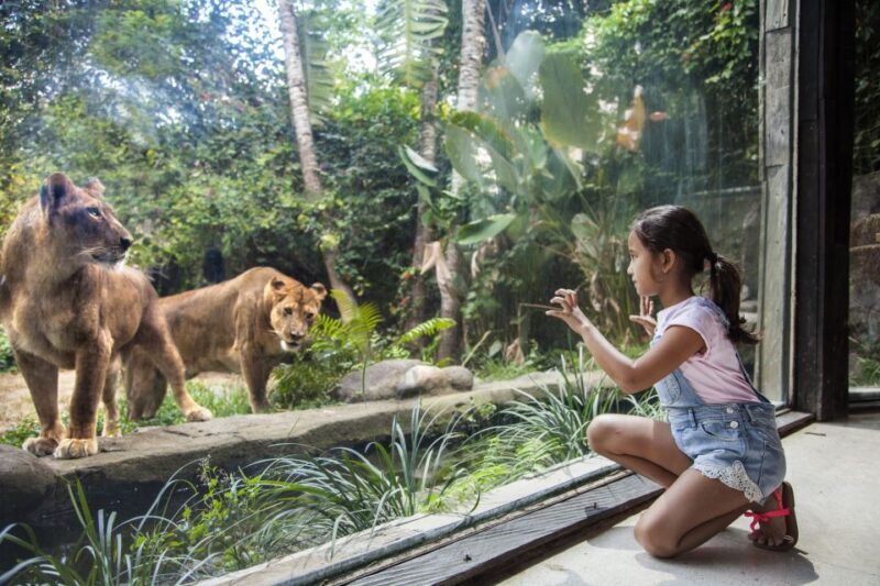 Bali Zoo Entrance Ticket - A Practical Guide to Visiting Bali Zoo