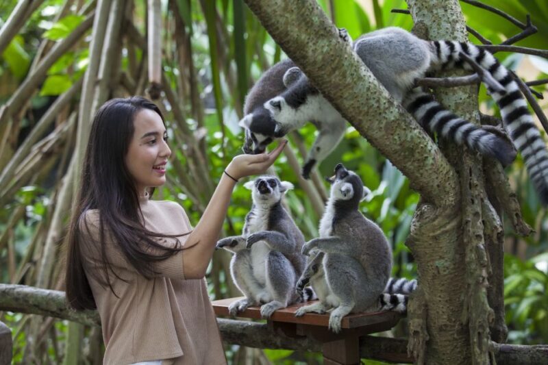 Bali Zoo Entrance Ticket - The Sum Up: Is Bali Zoo Worth Your Time?