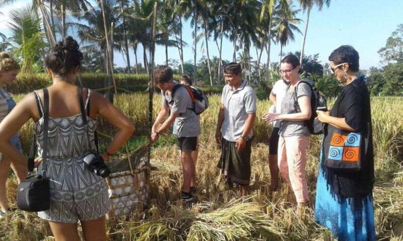 Balinese Culinary Adventure: Authentic Cooking Class in Ubud - Key Points