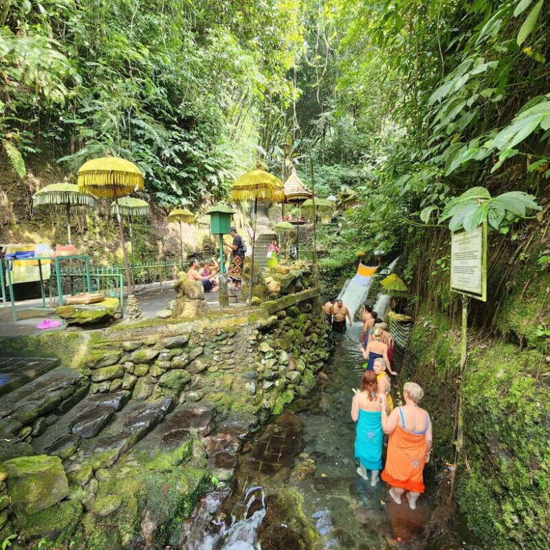 Balinese Purification at holy water temple with Local - Key Points