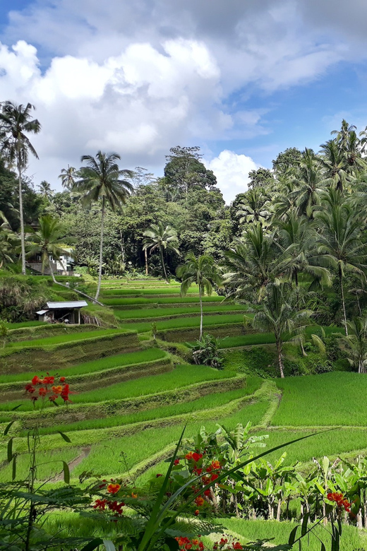 Balis Best: 3 Day Tours Package - Nature and Adventure
