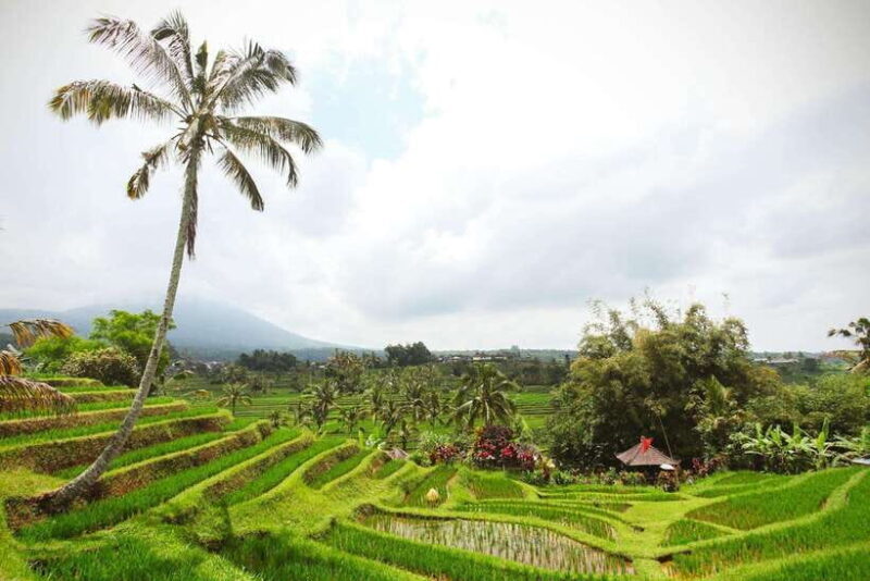 Balis Iconic Waterfalls, Rice Terraces & Sunset at La Brisa - Frequently Asked Questions  