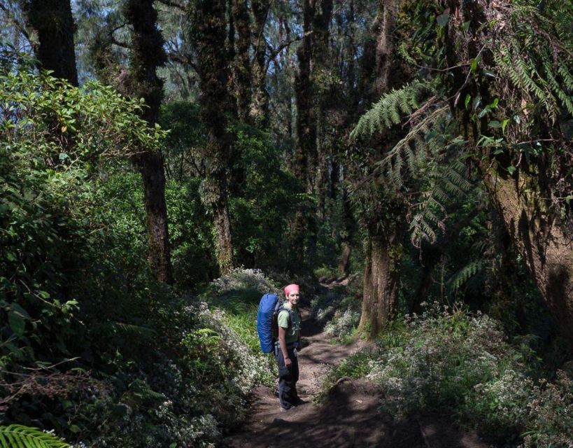 Balis Mount Abang Expedition: Guided Hike - Scenic Drive