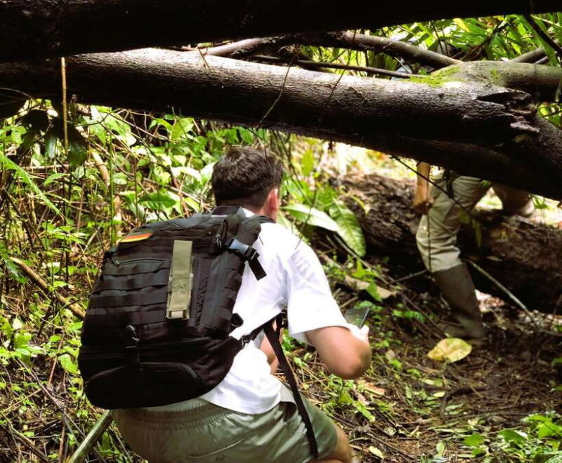 Balis Mystical Jungle Trek & Hidden Waterfall Adventure - What Makes This Tour Special?