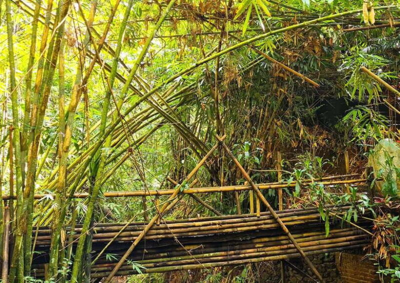Balis Mystical Jungle Trek & Hidden Waterfall Adventure - Authenticity and Value