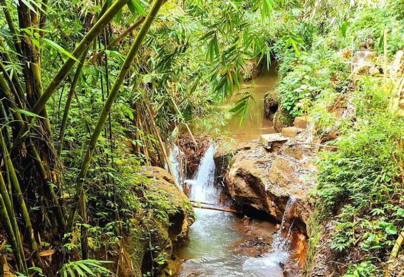Balis Mystical Jungle Trek & Hidden Waterfall Adventure - Frequently Asked Questions