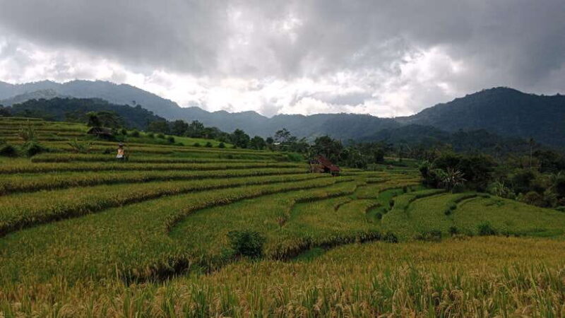 Bali:Sidemen tour guide - Key Points