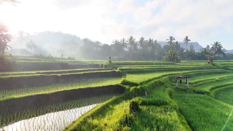 Bali:Sidemen tour guide - An In-Depth Look at the Sidemen Tour