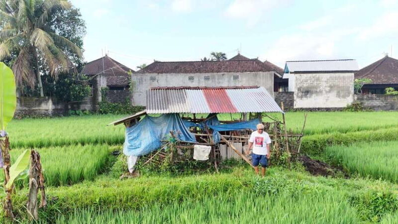 Bali:Sidemen tour guide - Who Should Consider This Tour?