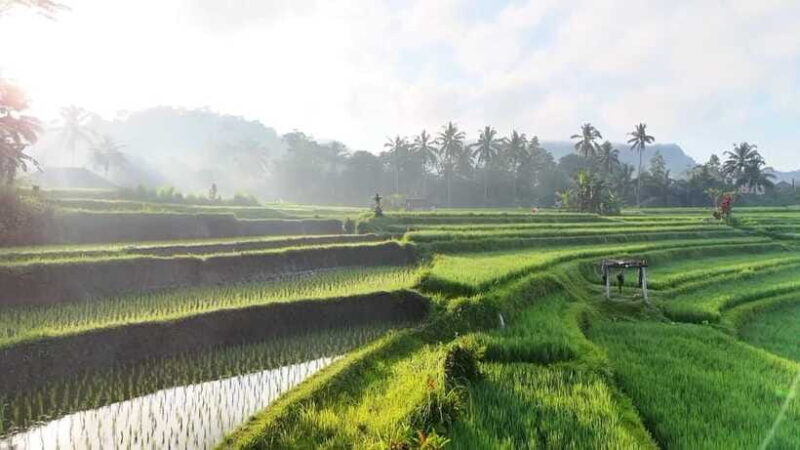 Bali:Sidemen tour guide - FAQ Section