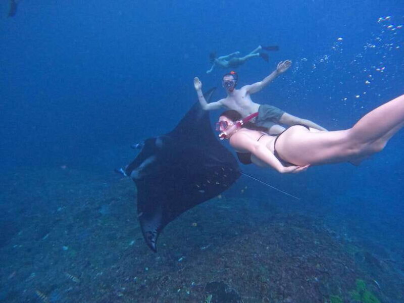 Bali:Snorkling with manta and west trip Nusa Penida - Starting Early at Sanur Harbour
