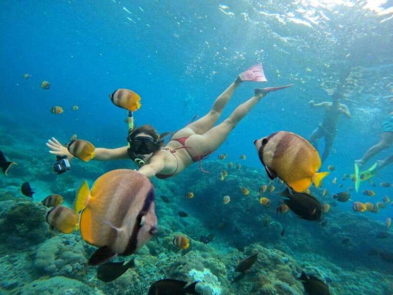 Bali:Snorkling with manta and west trip Nusa Penida - Snorkeling with Manta Rays at Manta Point