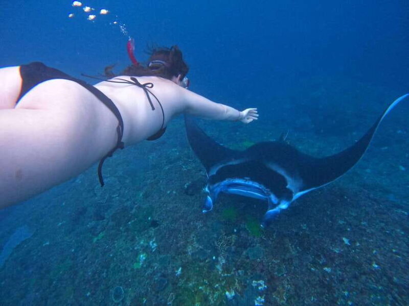 Bali:Snorkling with manta and west trip Nusa Penida - Returning to Bali