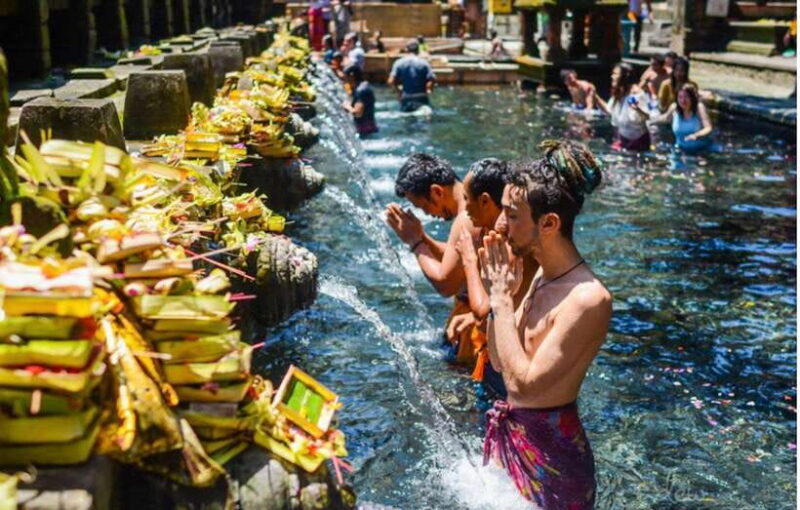 Bali:Tirta Empul, Kanto Waterfall & Rice Terrace local guide - A Practical Overview of the Tour
