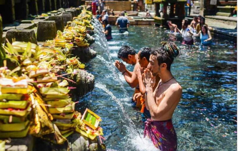 Bali:Tirta Empul, Kanto Waterfall & Rice Terrace local guide - Stop 4: Bali Coffee Plantation – A Tasty Wrap-up