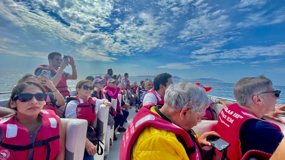 Ballestas Island and Paracas National Reserve - Inclusion and Exclusions