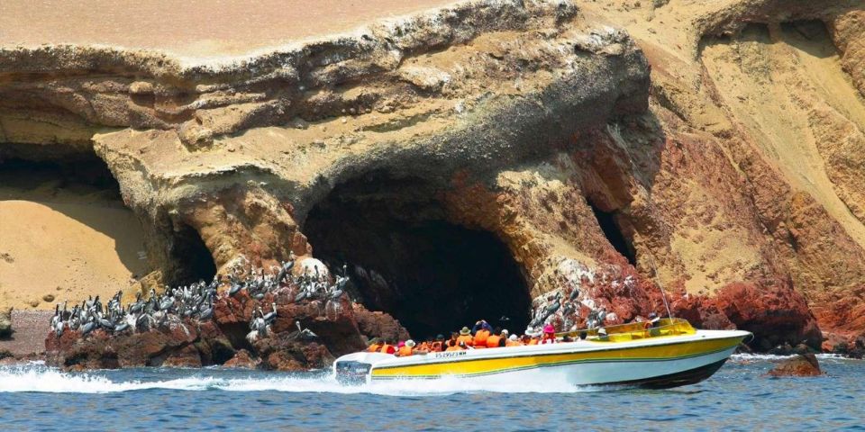 Ballestas Islands and Paracas Reserve - Full Day Escape - Important Information