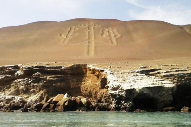 Ballestas Islands, National Reserve of Paracas, Nazca Lines & Huacachina Oasis - Tour Reviews and Ratings