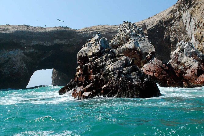 Ballestas Islands Tour From Puerto San Martin Cruise - Preparing for the Adventure