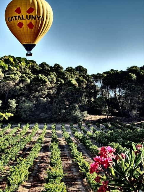 Balloon flight: panoramic view of Montserrat and Transport from Barcelona - What Makes This Hot Air Balloon Tour Stand Out?